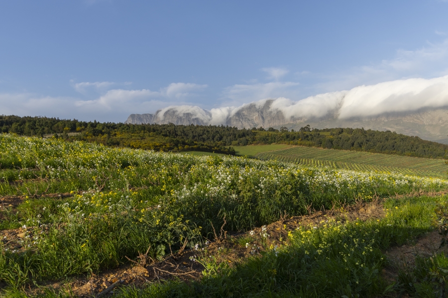 3 Bedroom Property for Sale in Sir Lowrys Pass Village Western Cape